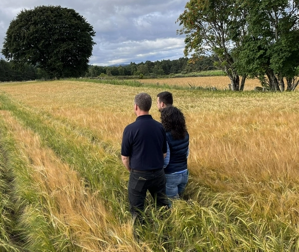 Monitor Farm Scotland programme premieres succession play online