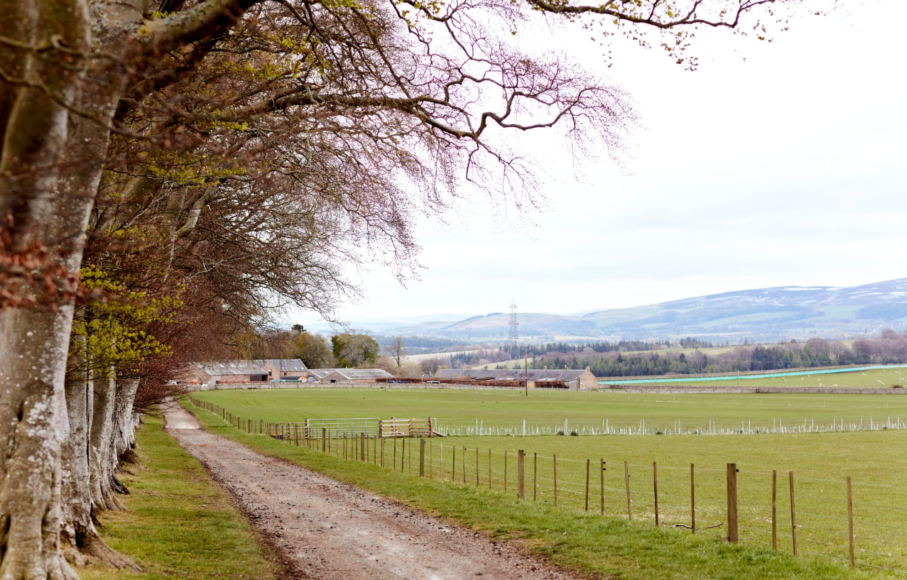 A track on a farm field