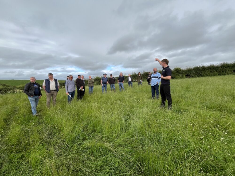 Planning and flexibility crucial for grazing success this year